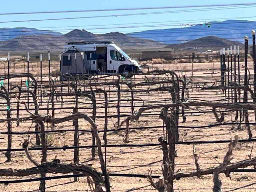 Cella Winery