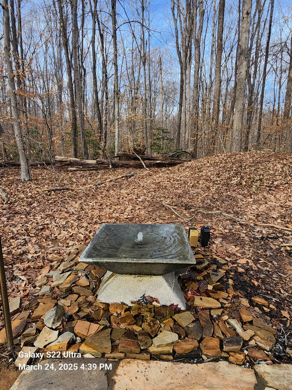 Wellness Cabin
