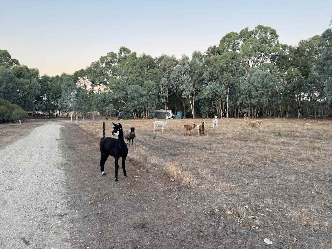 Herron Point Farm Stay