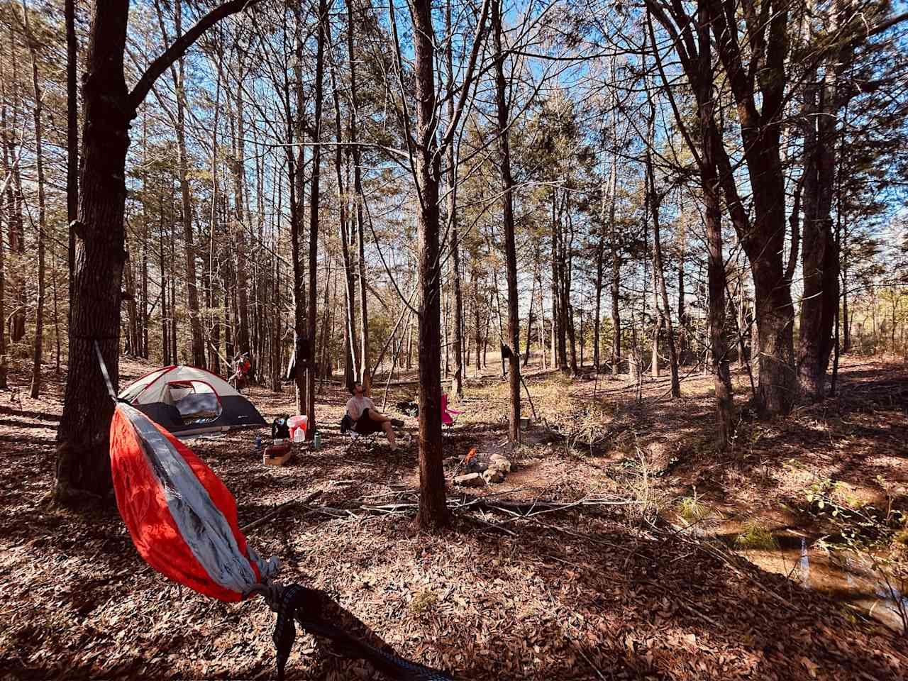 Camp in Camp Hill!