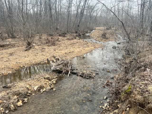 Ozark Riverside Escape