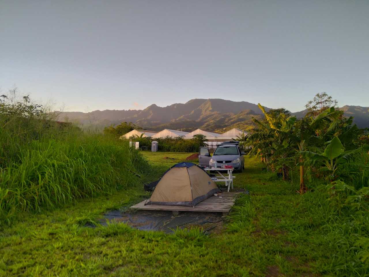 The Oasis