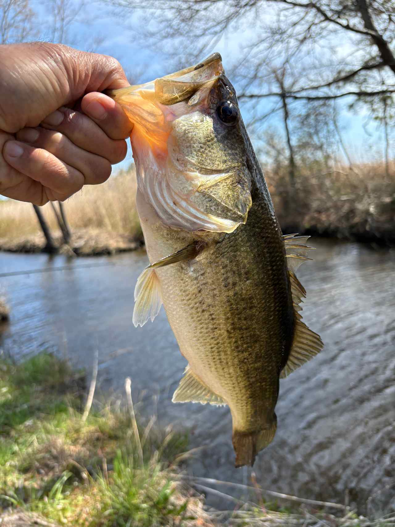 Bring a rod! 
