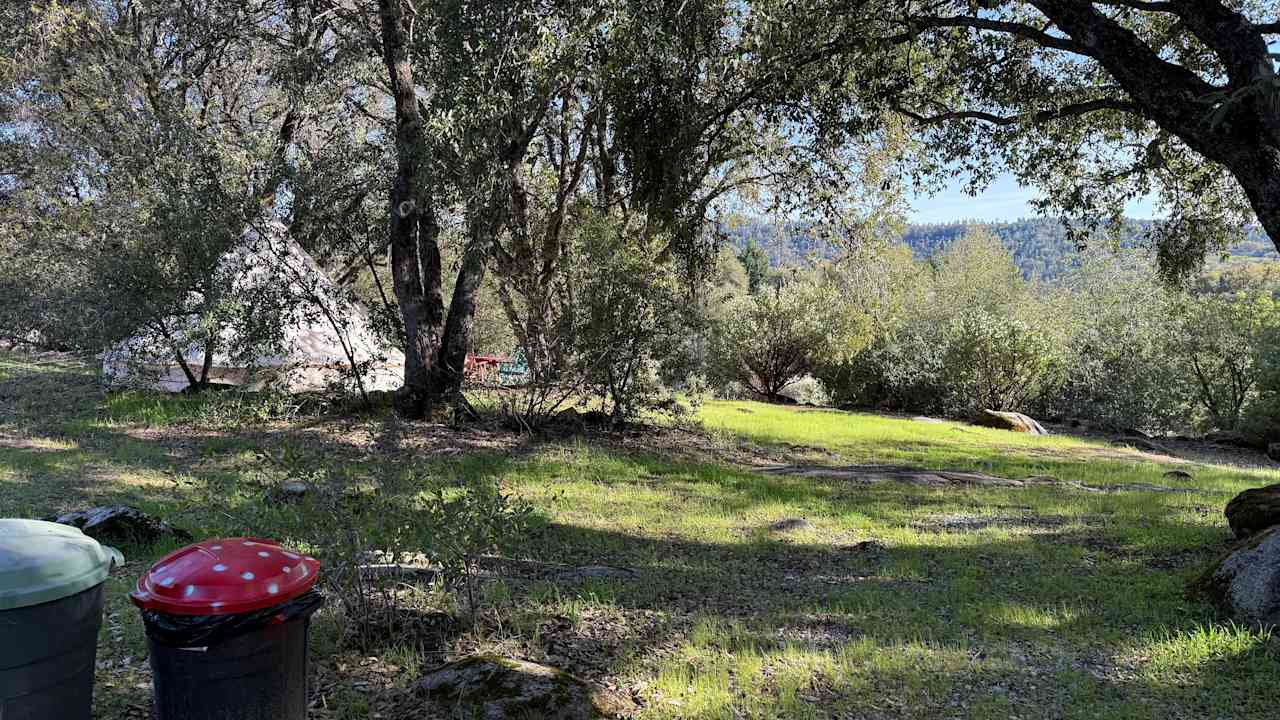 Camp 🏕 Gold Dust Vineyard