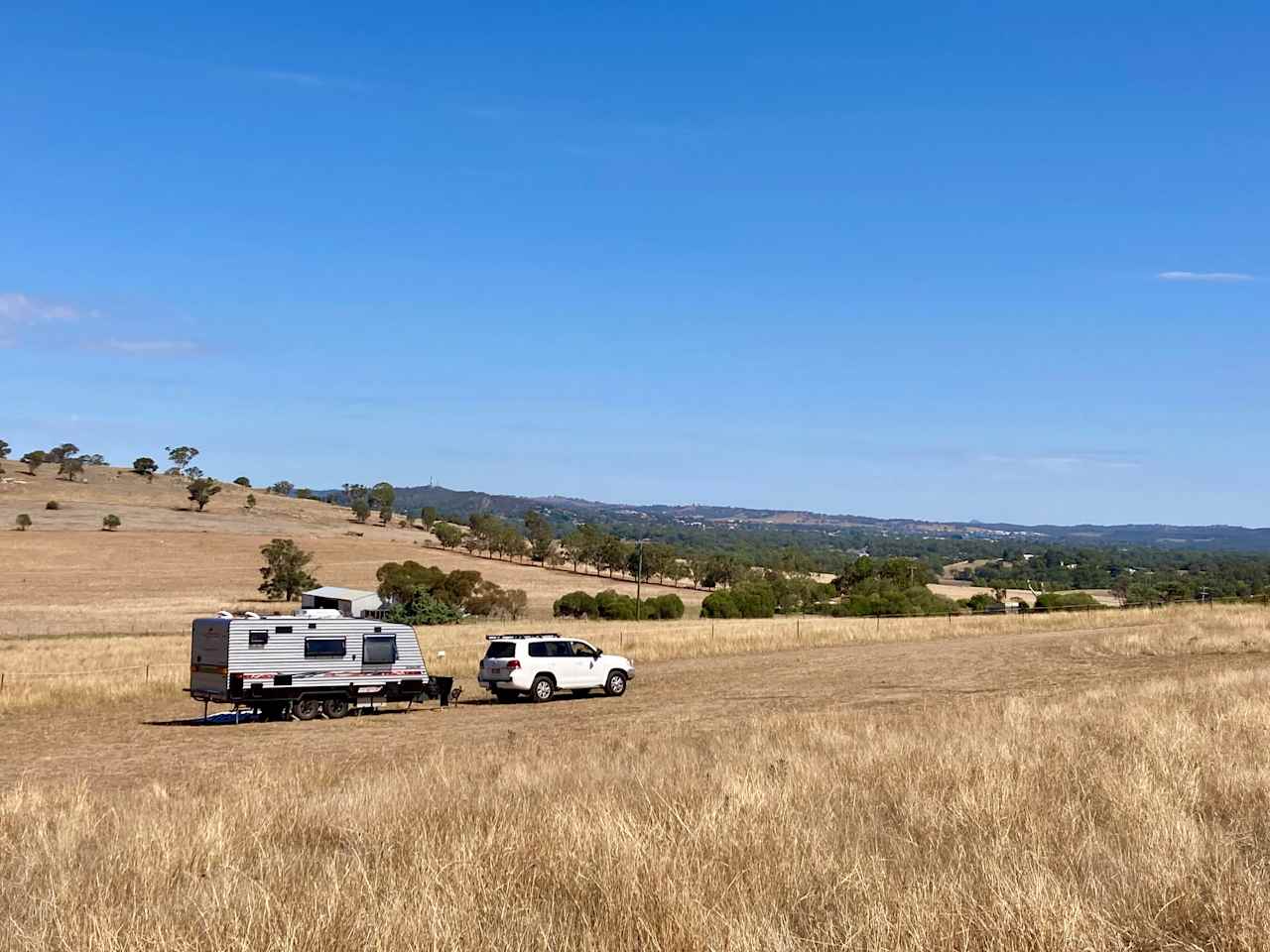 Wagga Bundaleer