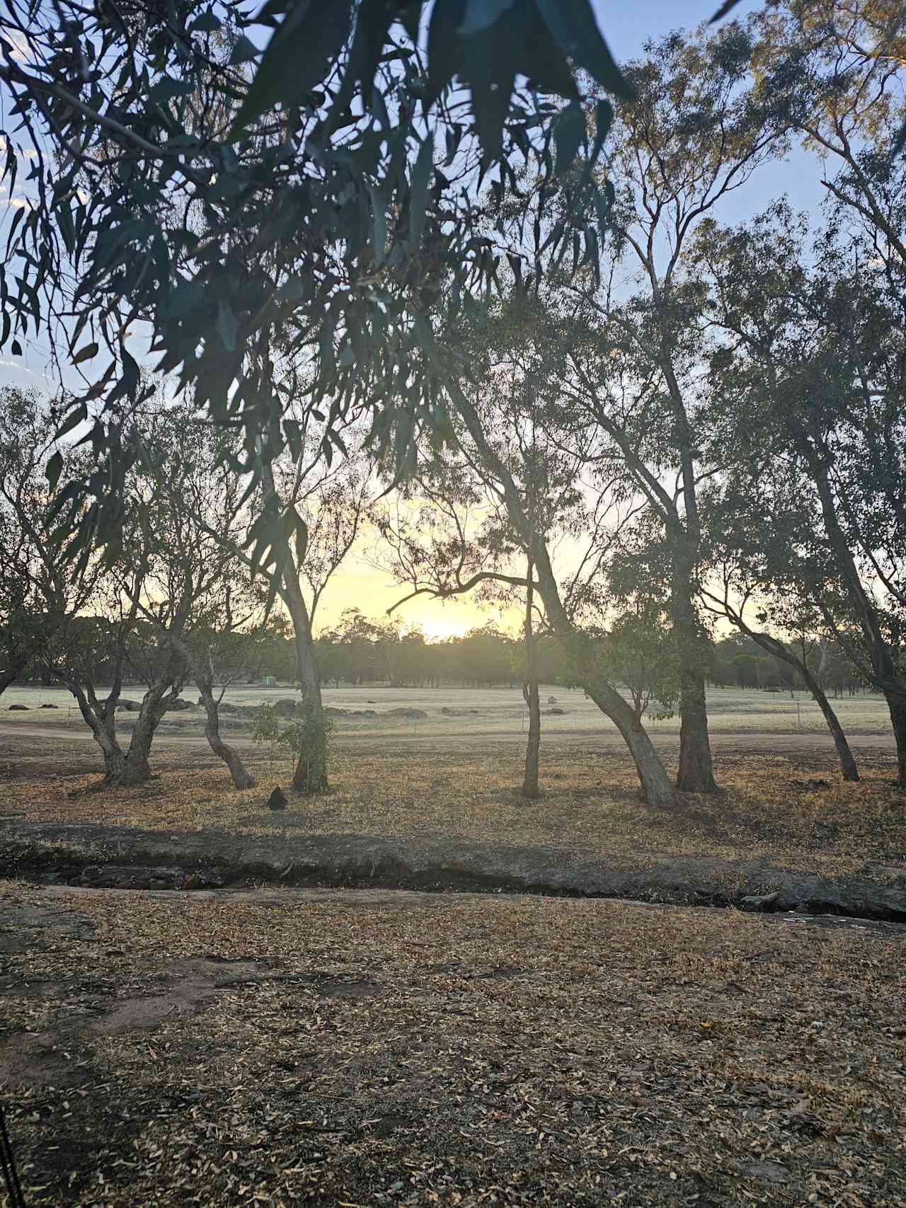 Sunrise