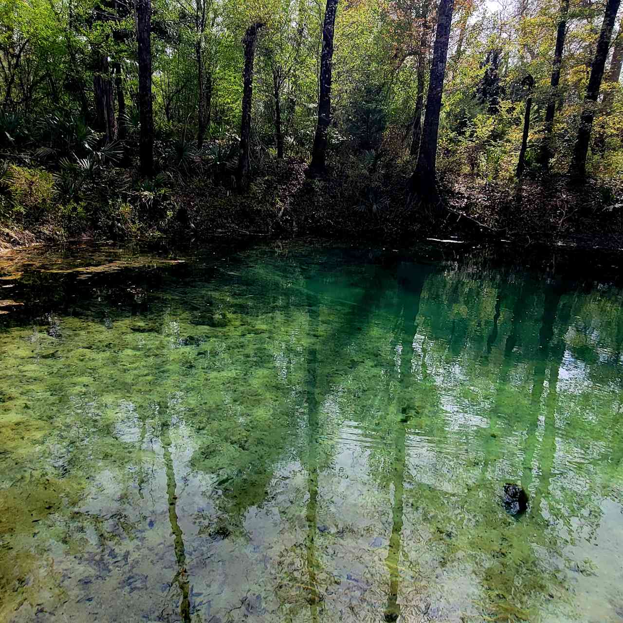 Sweetwater Daze River Camp