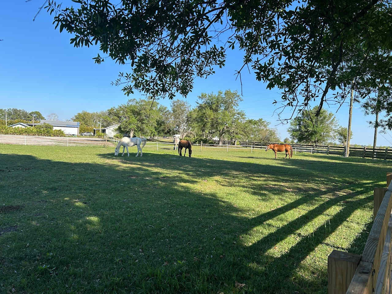 Silver Bullet Stables