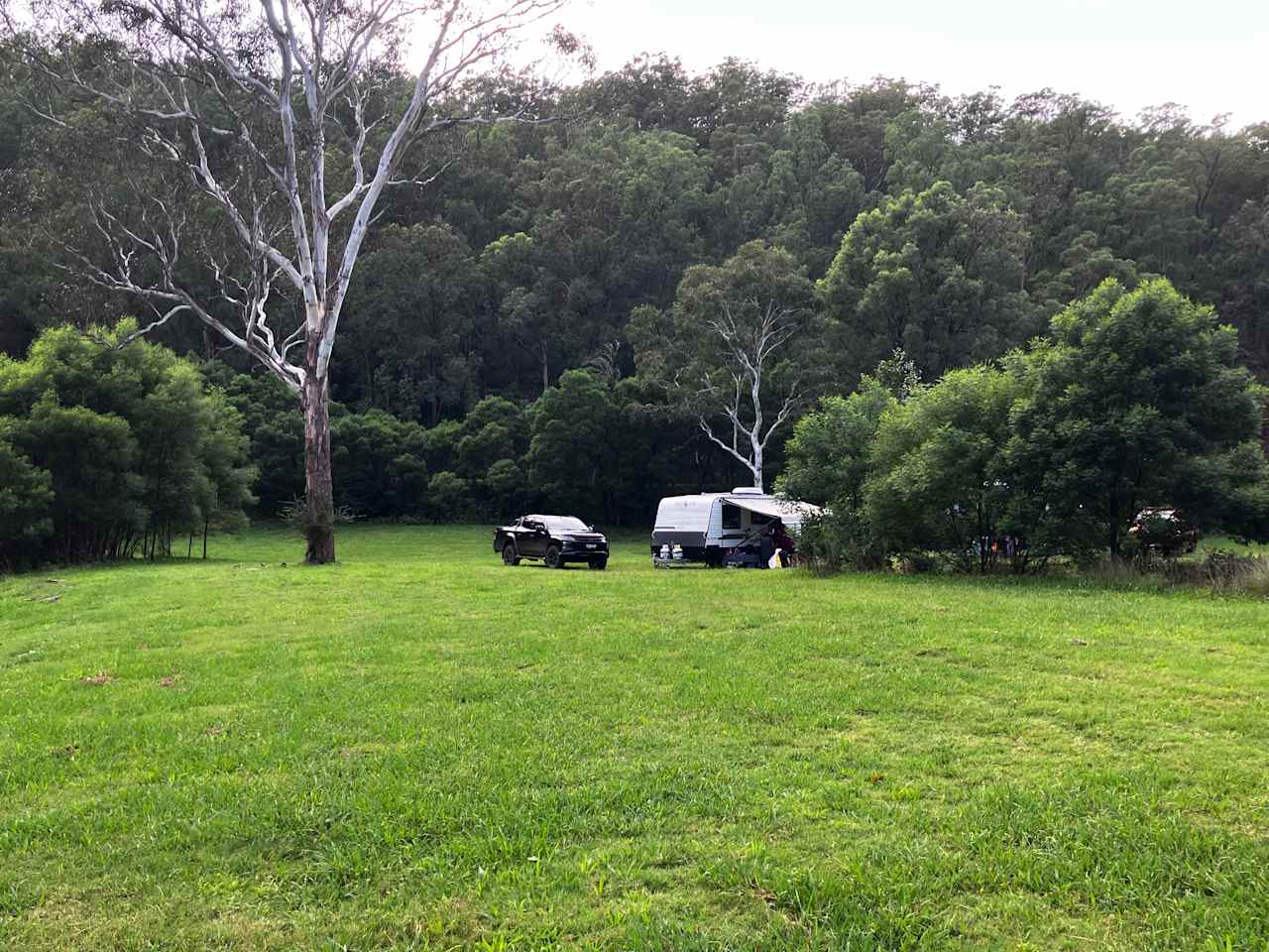 Wollombi flats camping
