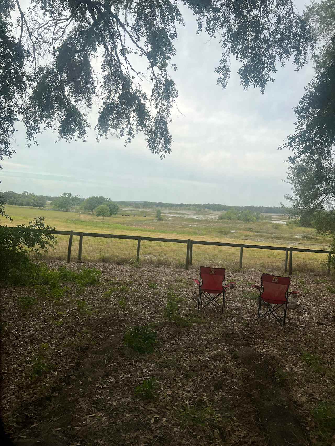 The Promised Land