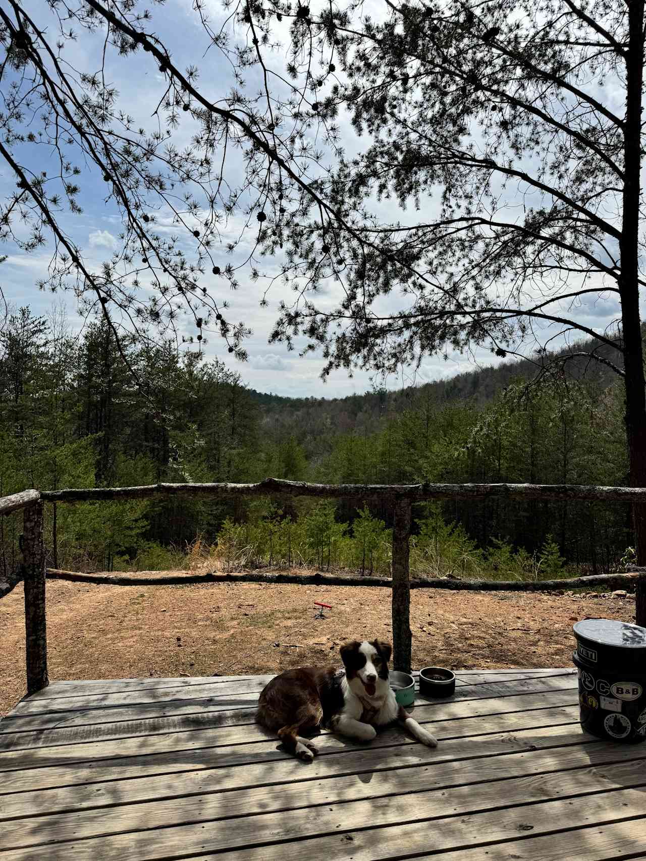 Take a Hike on a Wild side! Camping