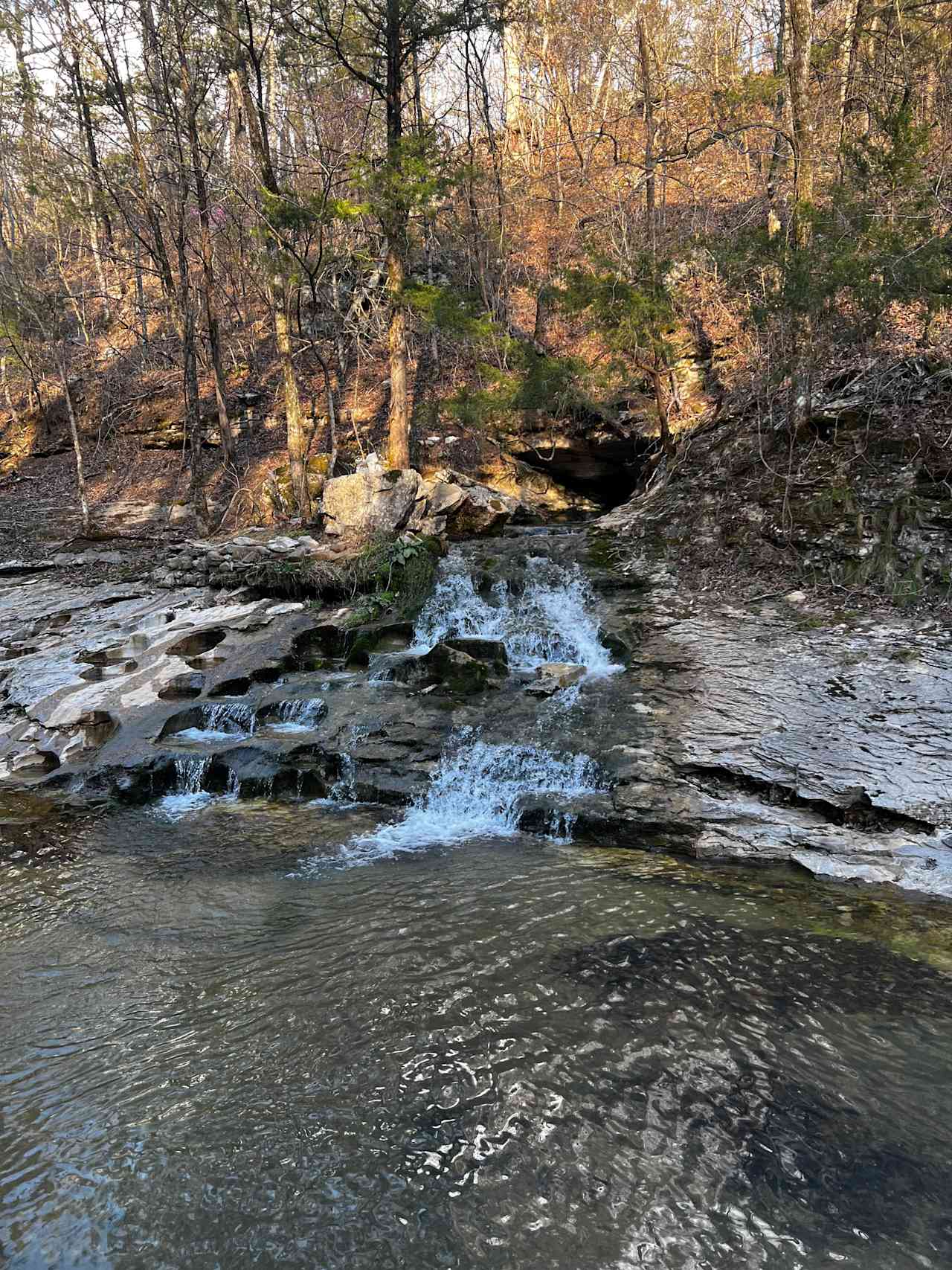 Eden Springs