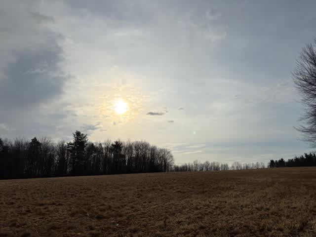 field view from camp