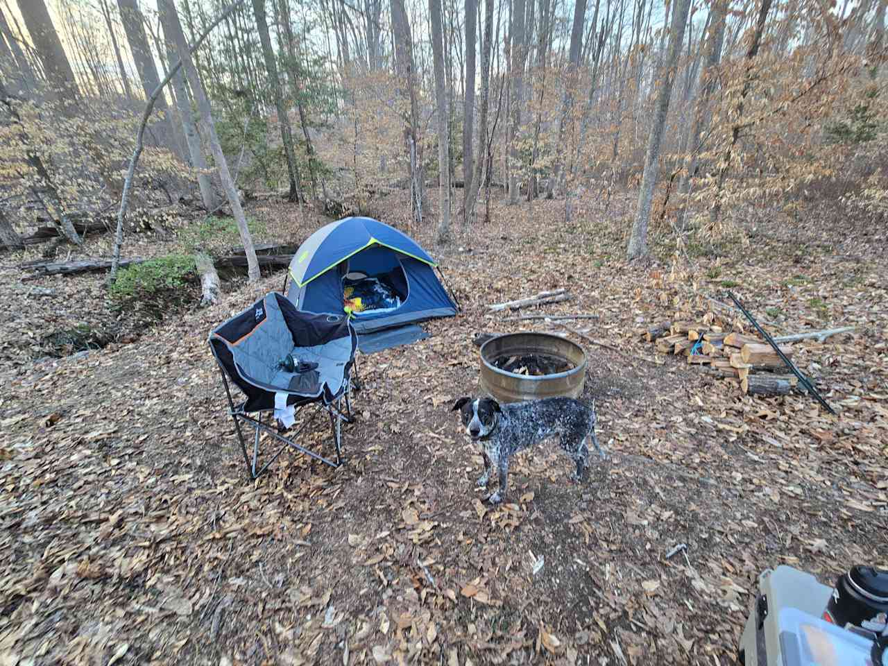 Fork Creek Acrea