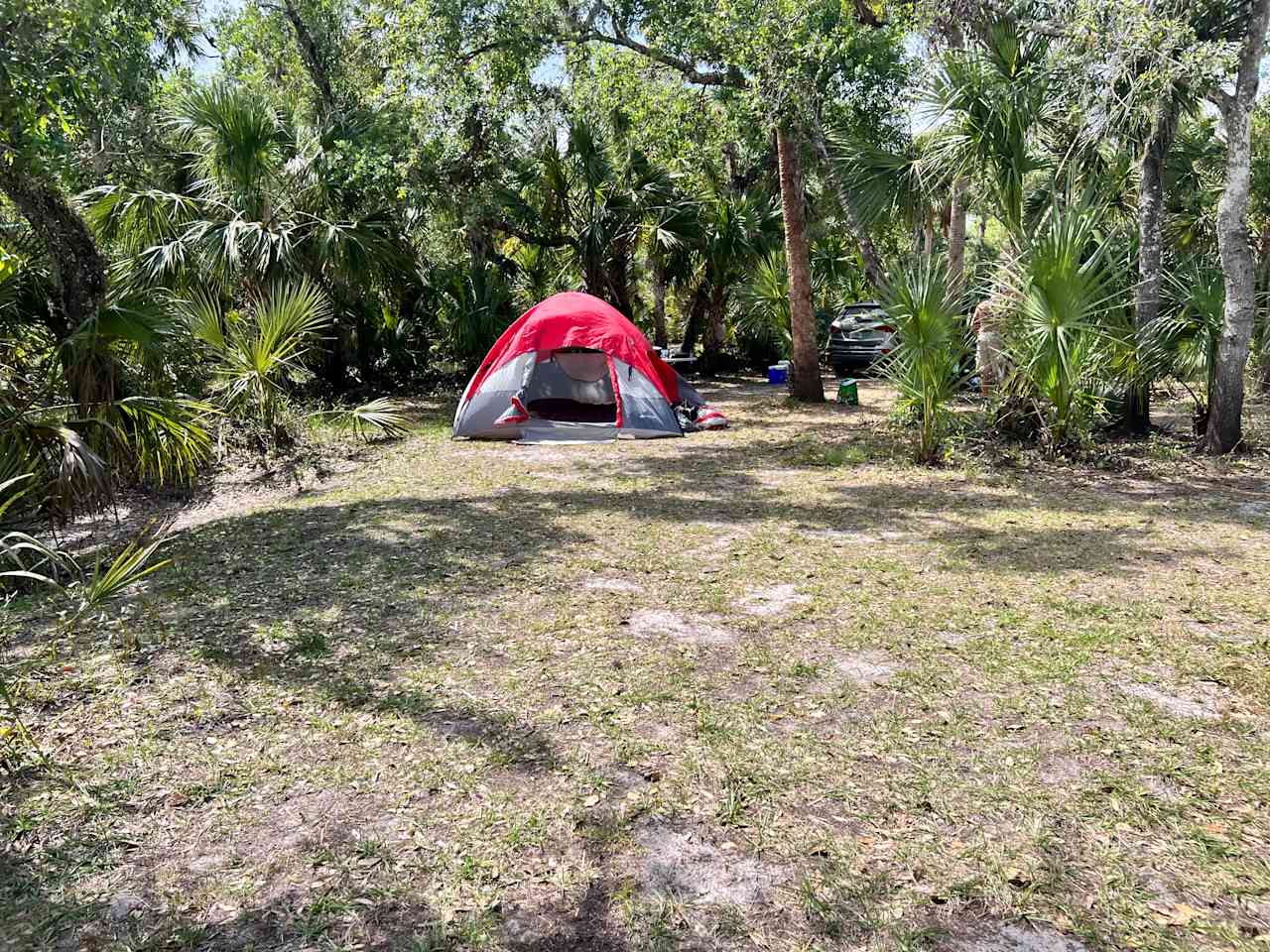 Costa Myakka