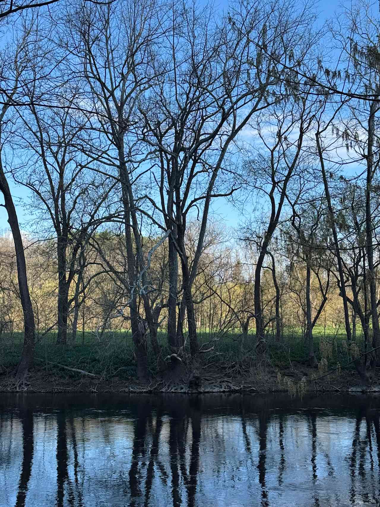 North Fork River Retreat