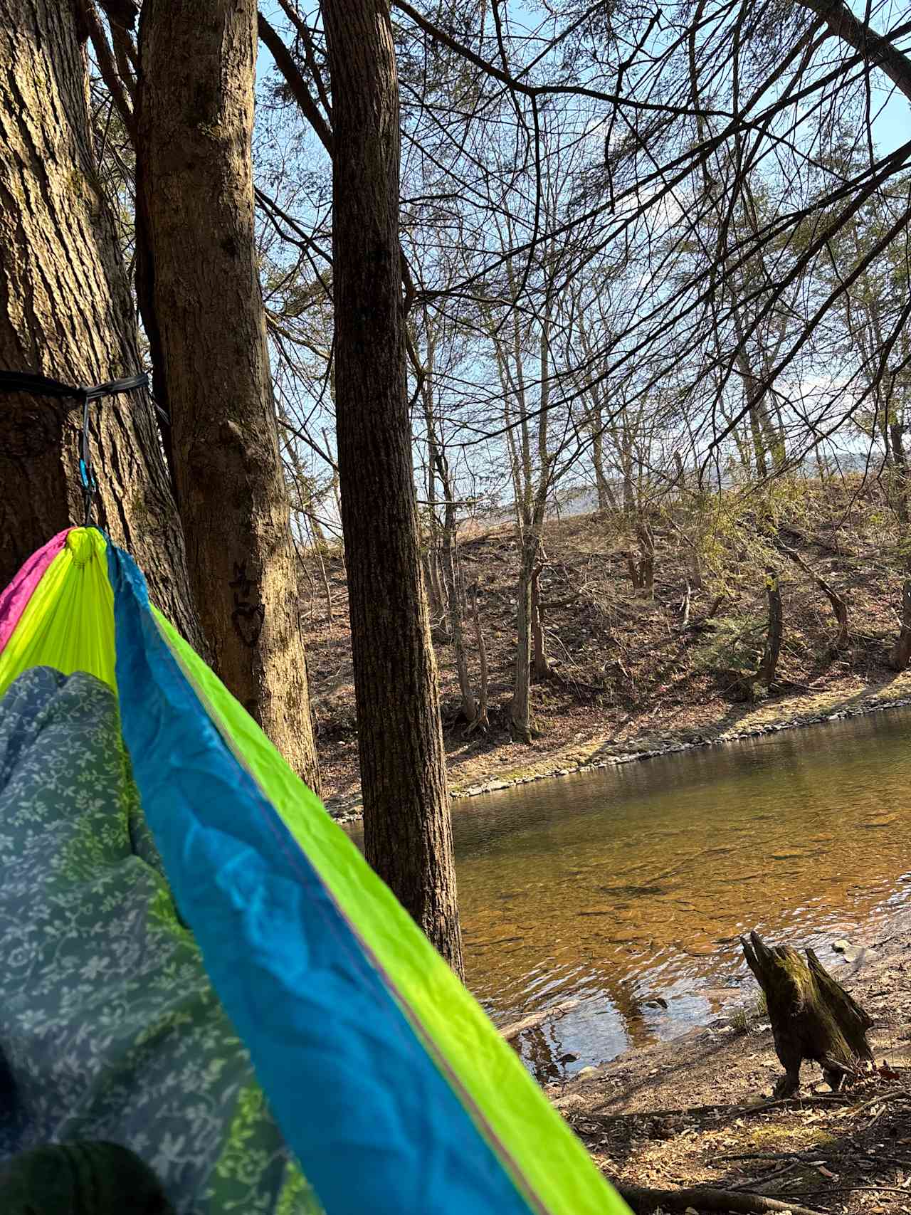 Forks Farm Campground
