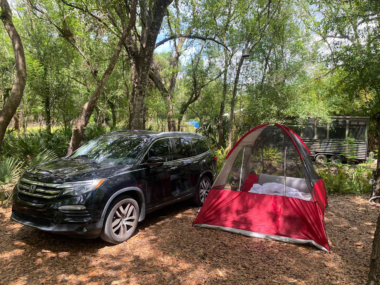 Area 61 Camping
