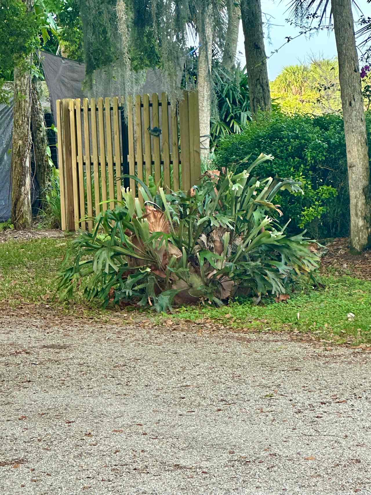 Taste of Old Florida