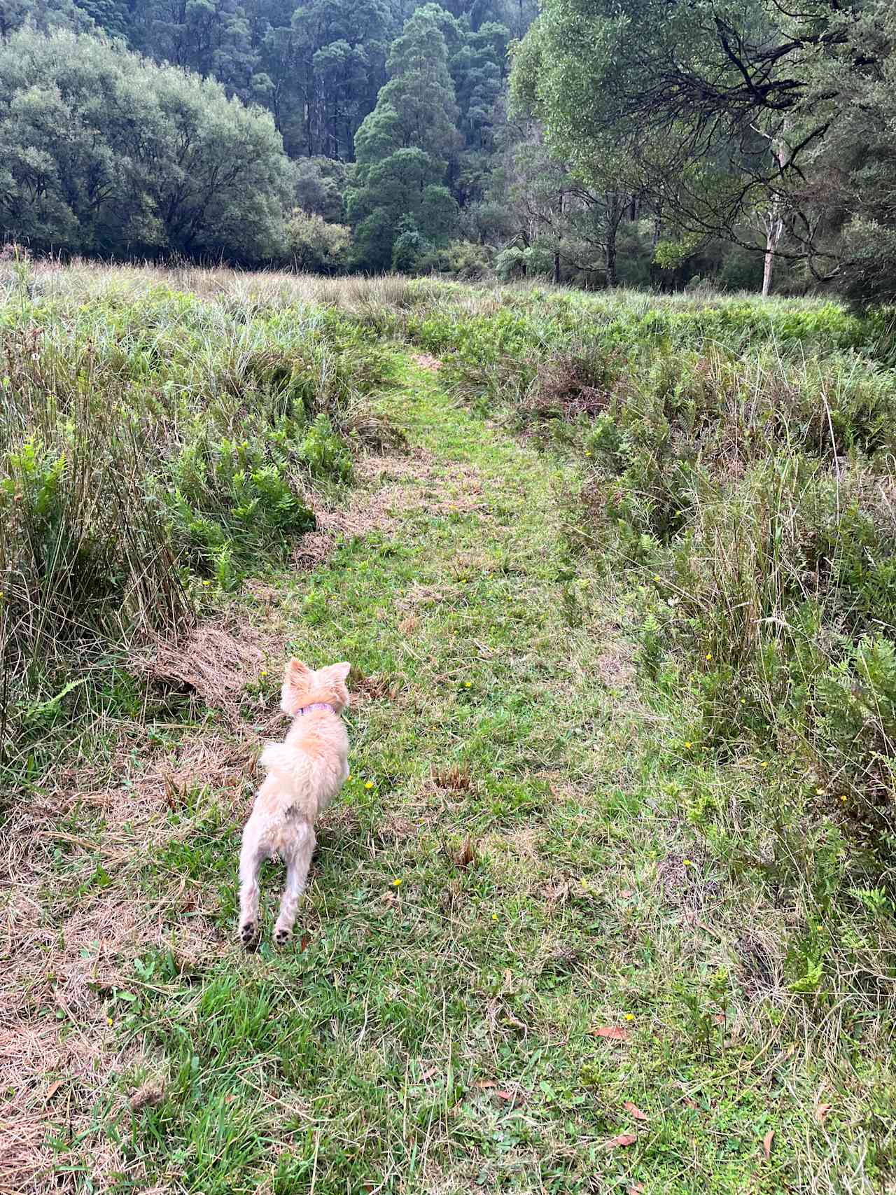 Organic Farm & Riverside Camping