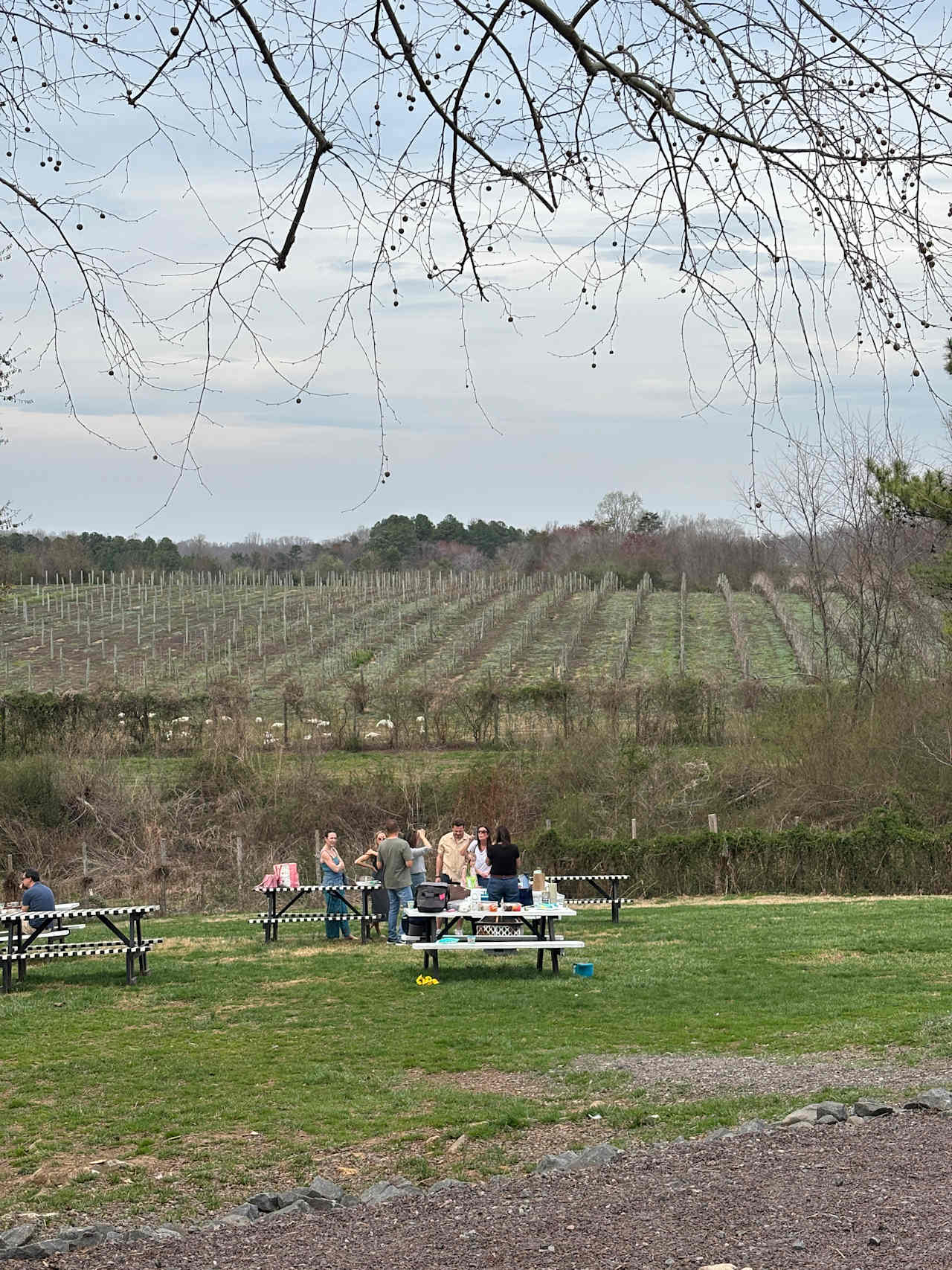View from the brewery