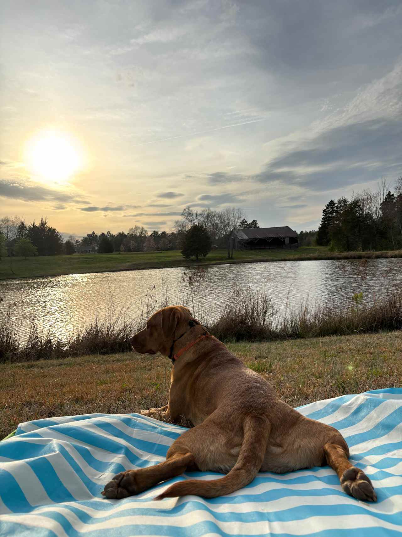 By the water