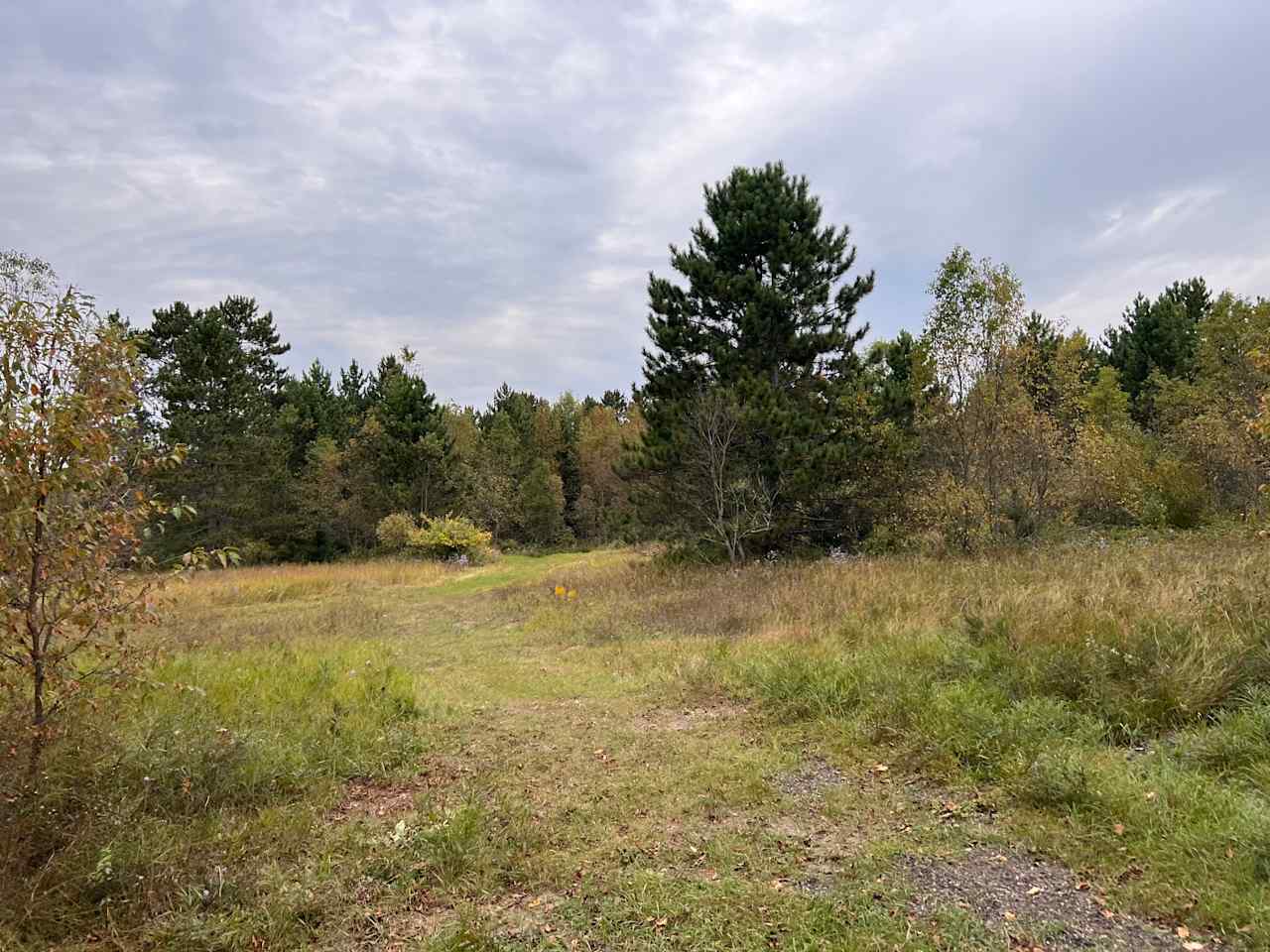 Brown Camp