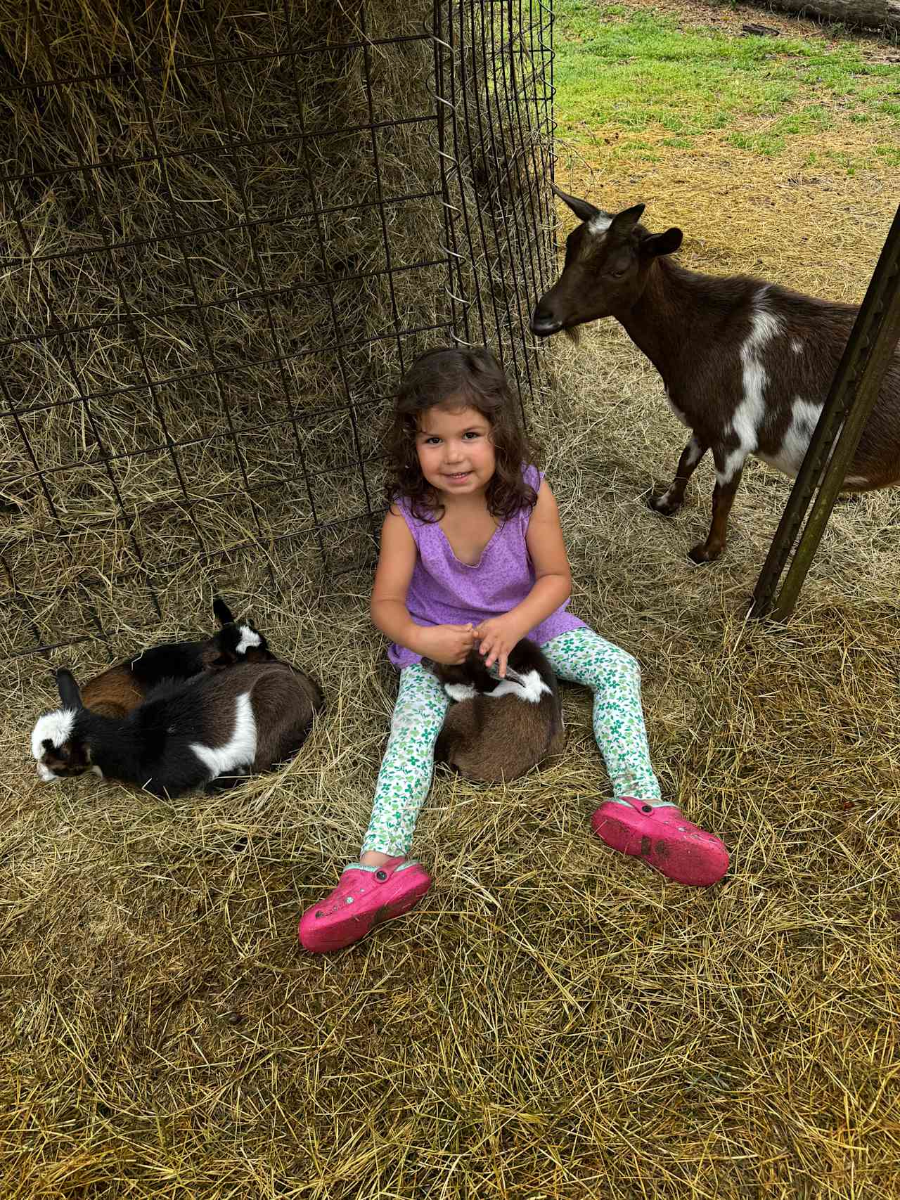 Goat House Farm