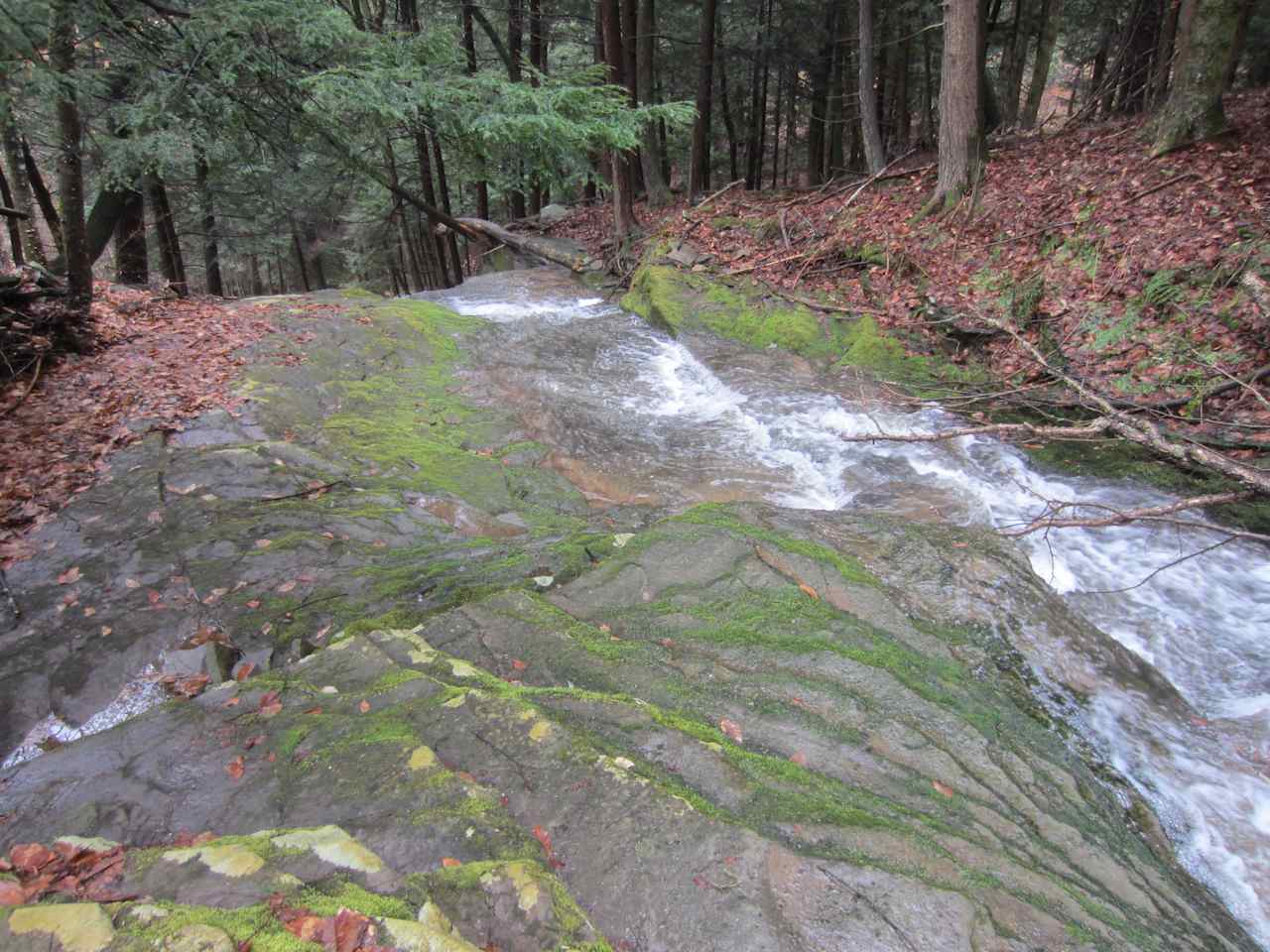 The section of creek nearest the camp site features large, flat rocks and a little wading area that gets to about 2 ft deep. We have been working on damming it up a bit. 