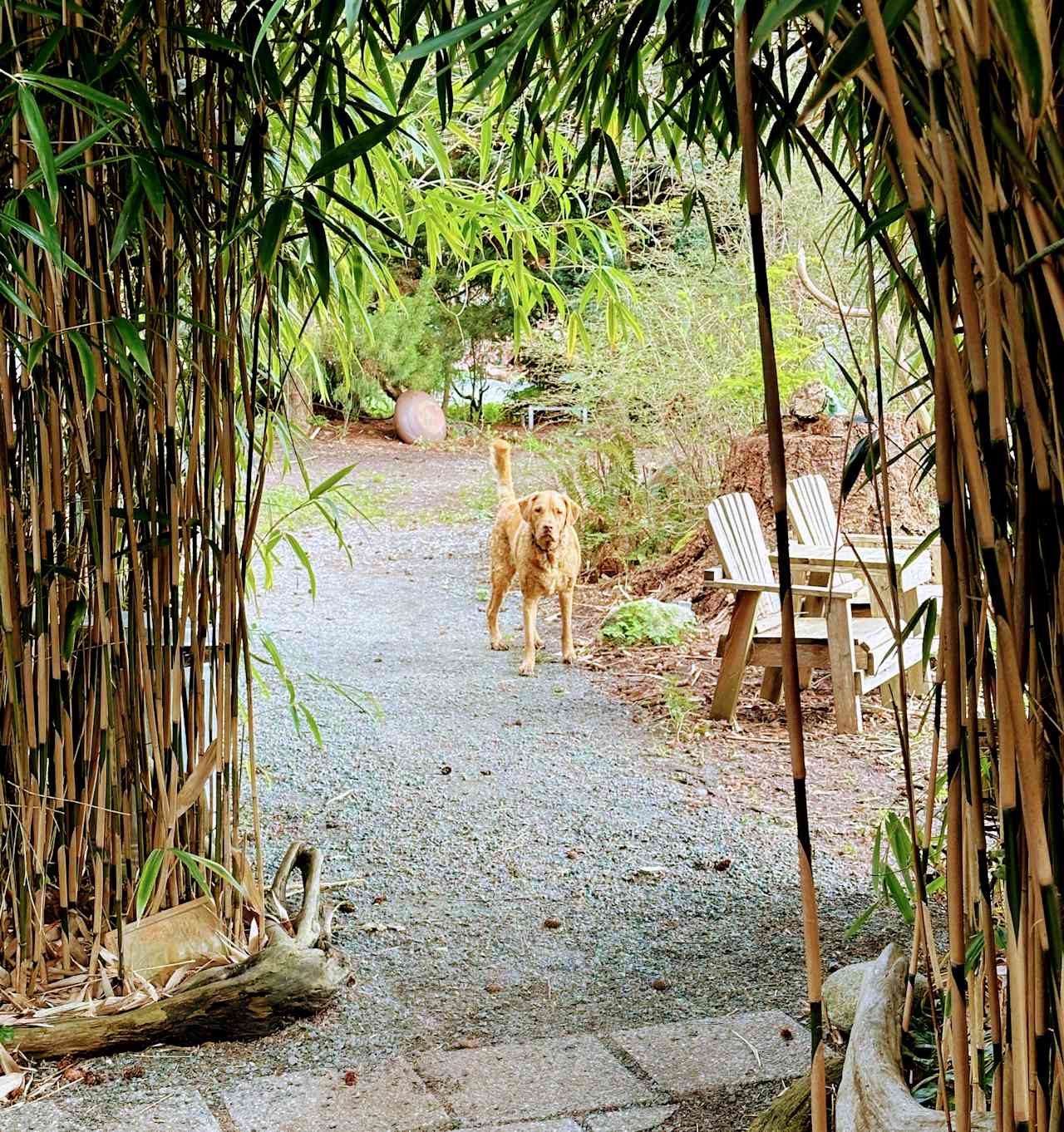 Saltgrass Garden
