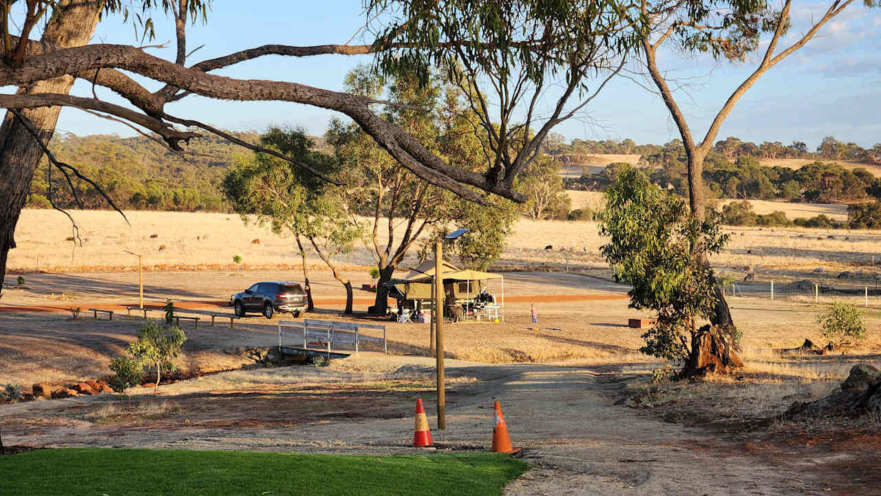 Our camp-site from the amenities block. From the wood fence on the left to the fencing on the right. 
