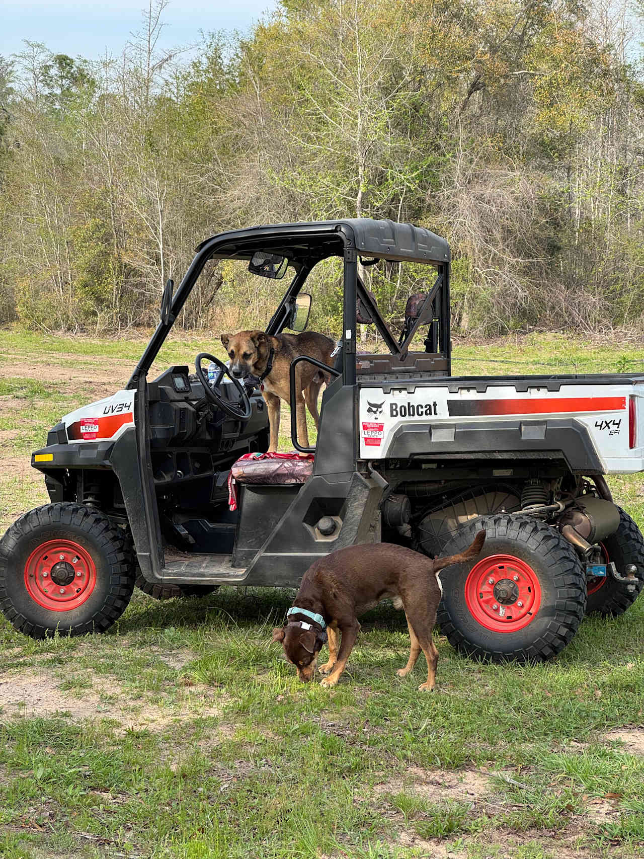 Hidden Cypress Farm LLC, Campground