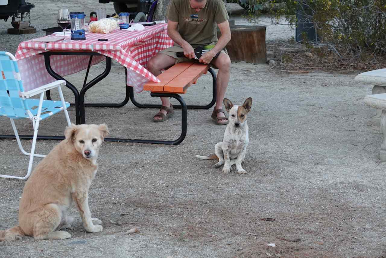 Bailey & Kaulua