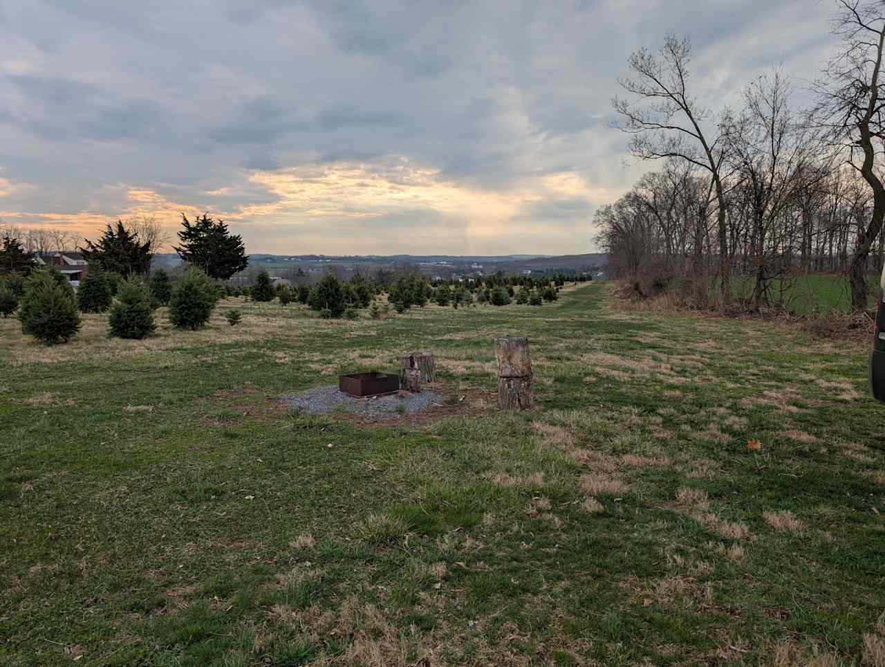 Christmas Tree Farm with Views