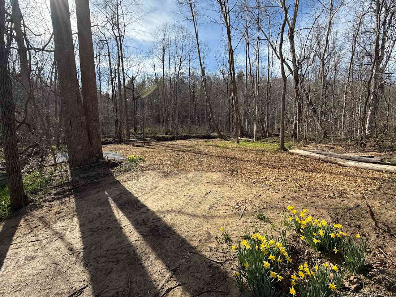 TangleWood Creekside Campsites