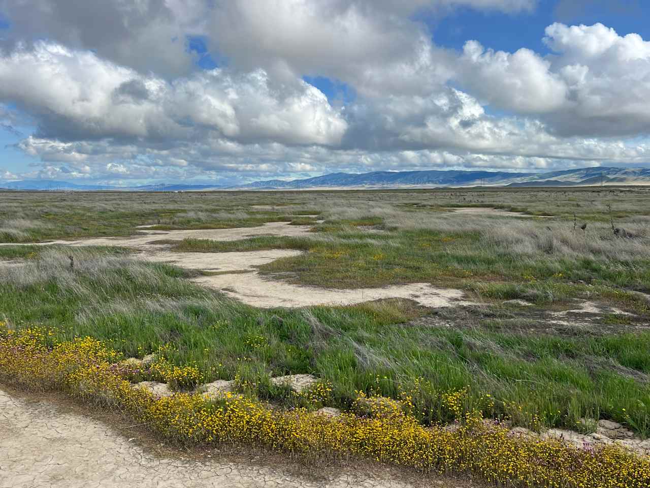 Carrizo National