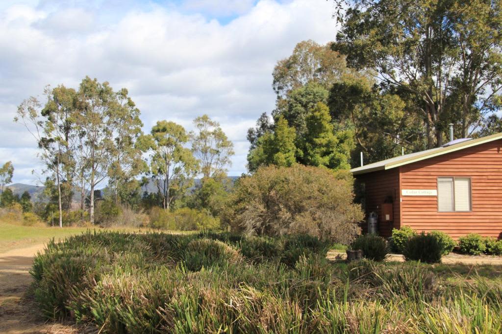 Cabins On Halls