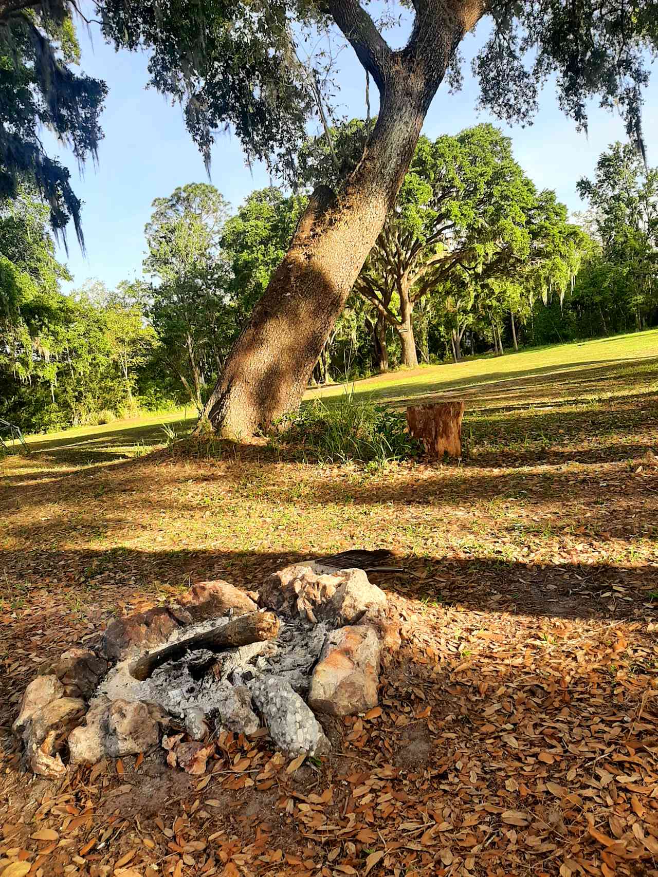 Myrtle Oaks