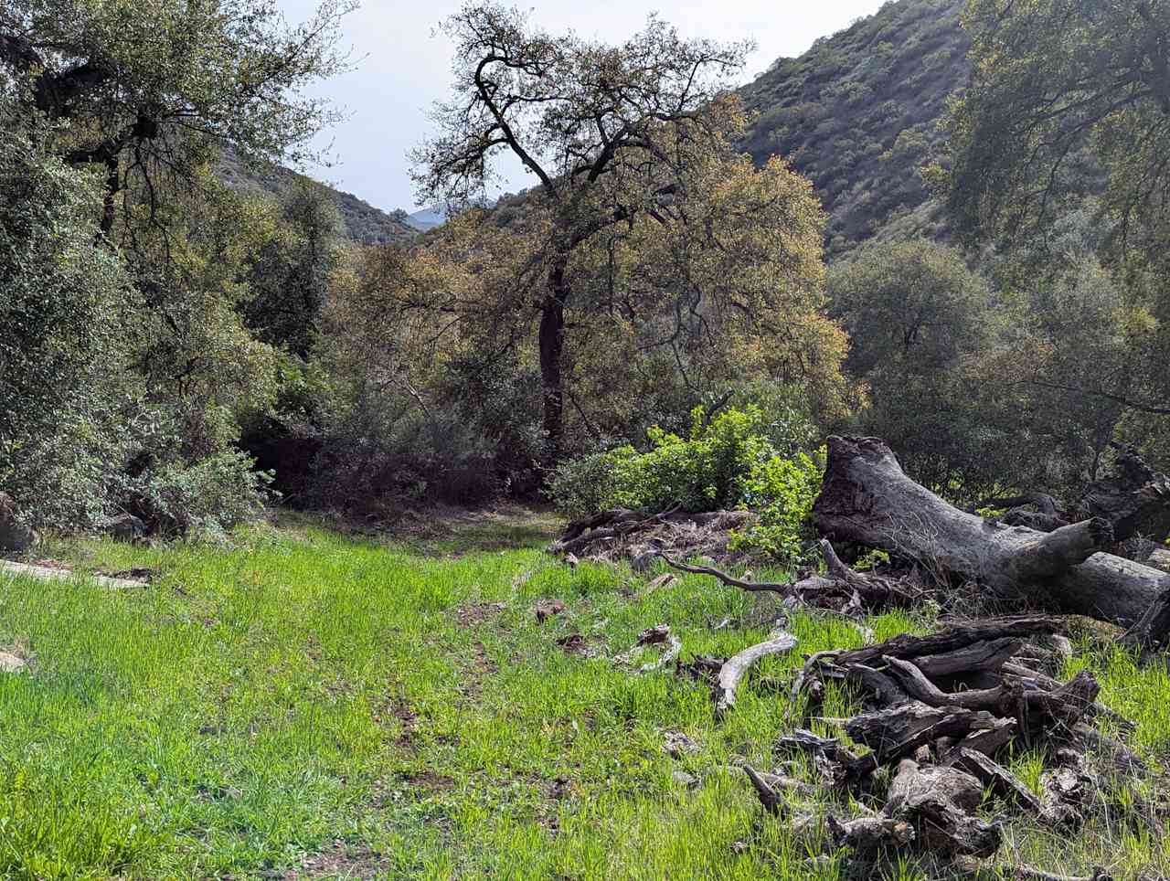Dutchman Canyon