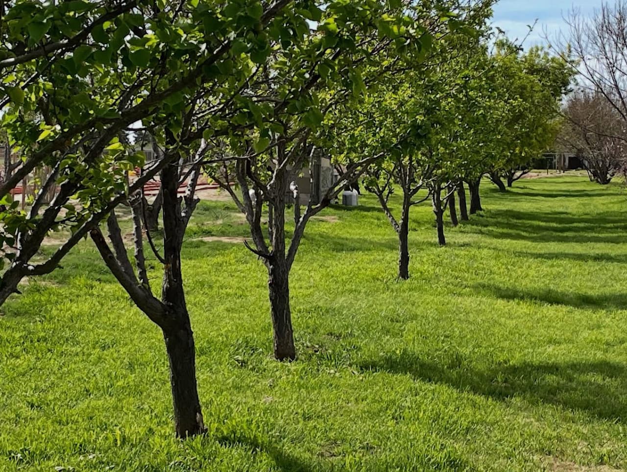 King and Queen Creek Farm