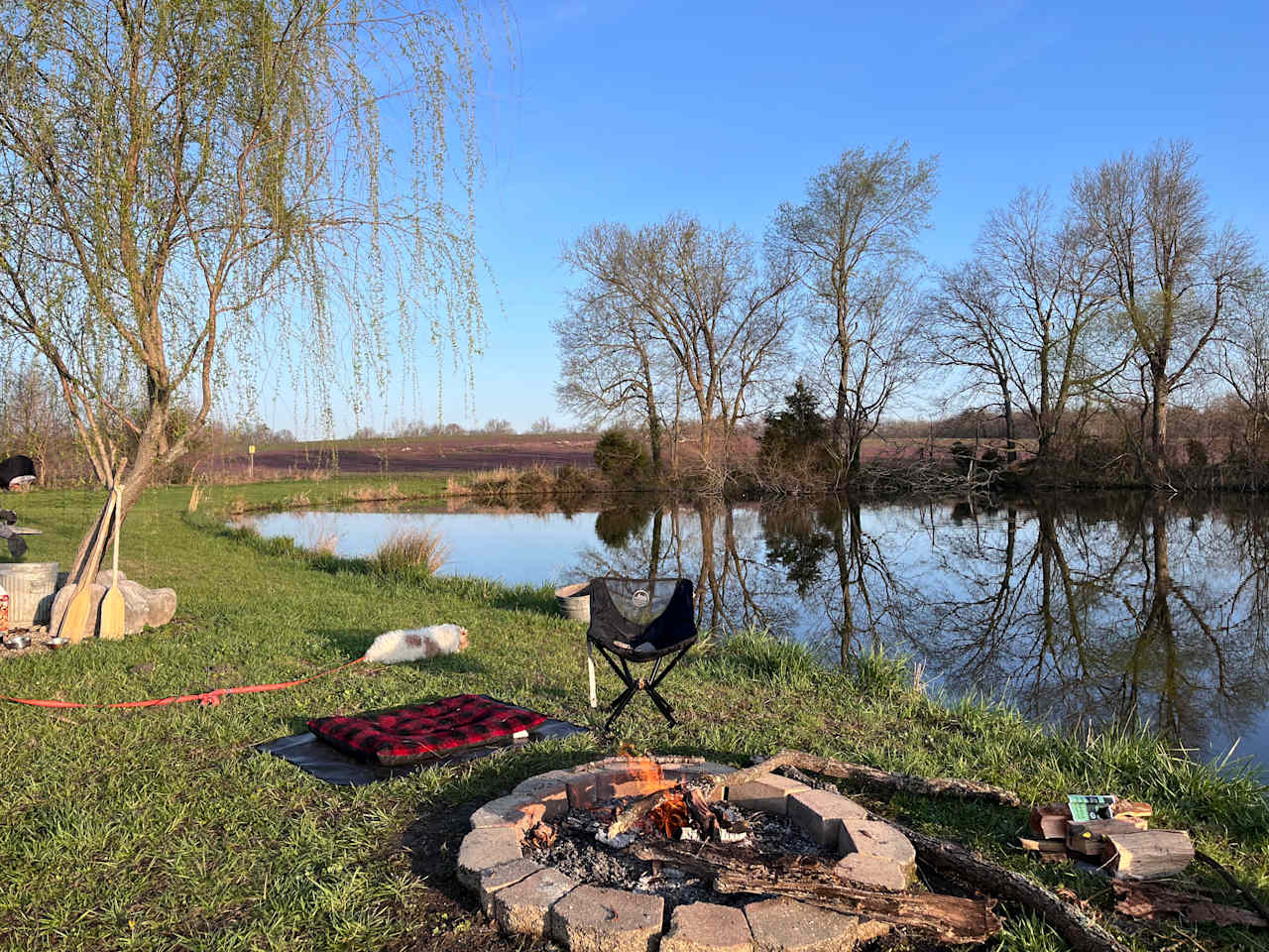 Willow Pond