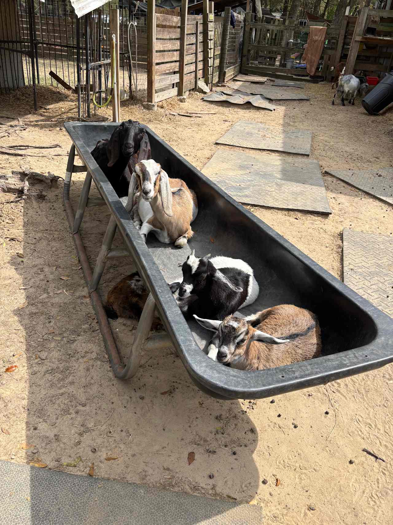 Goat House Farm