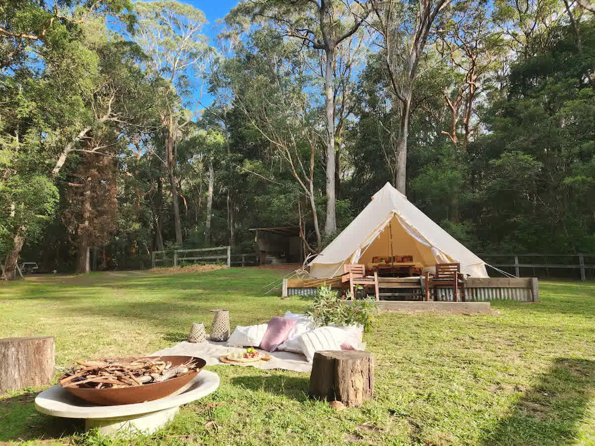 Where the Glamping tent is located. Kitchen sheltered area in background and fire-pit in foreground. 