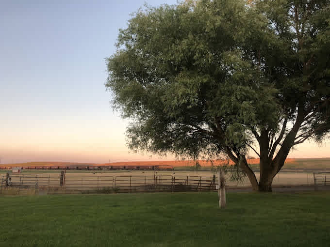 Wheatland Community Park