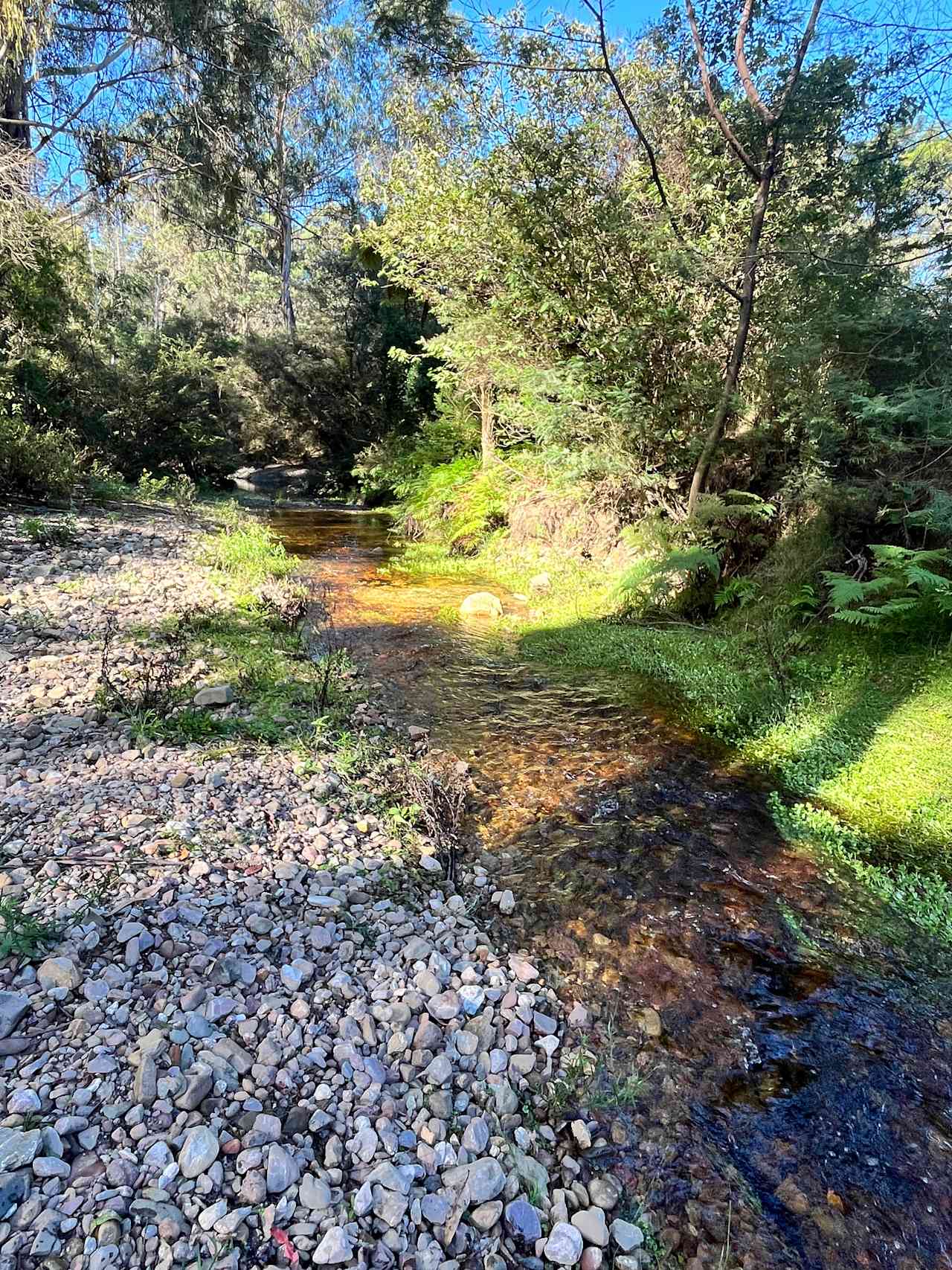 Merimbula Camping