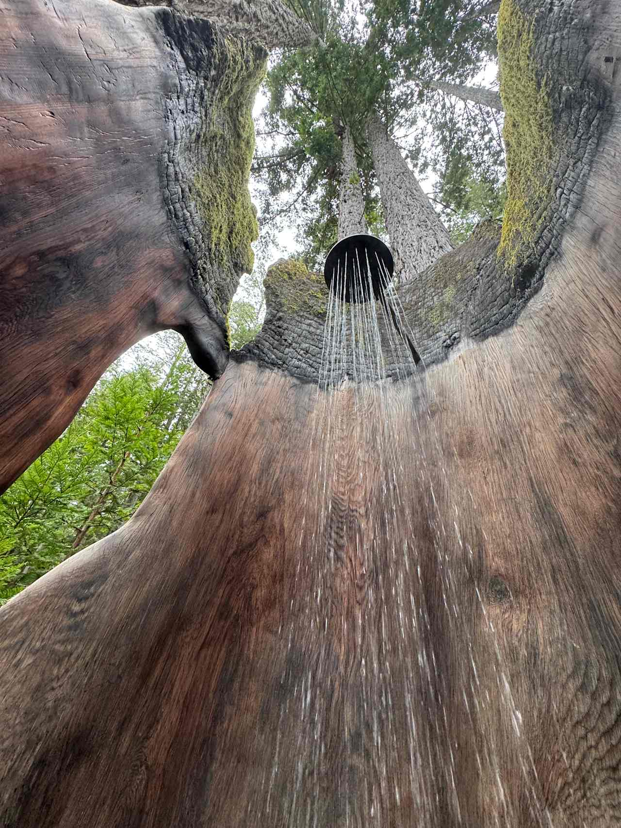 Heartwood Mendocino