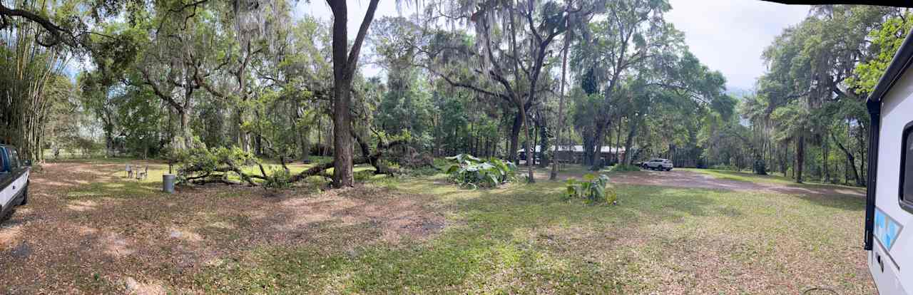 Camp Wild Fern