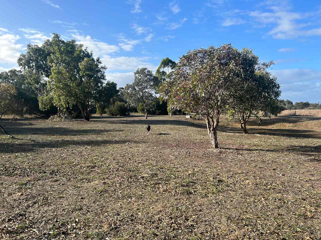 Reedy Lakes Farm Stay