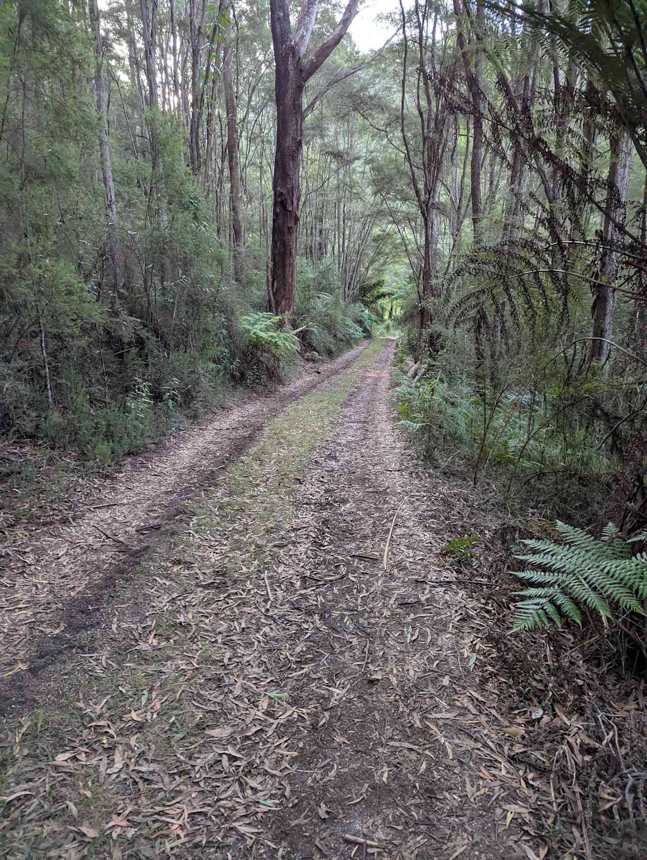 Organic Farm & Riverside Camping