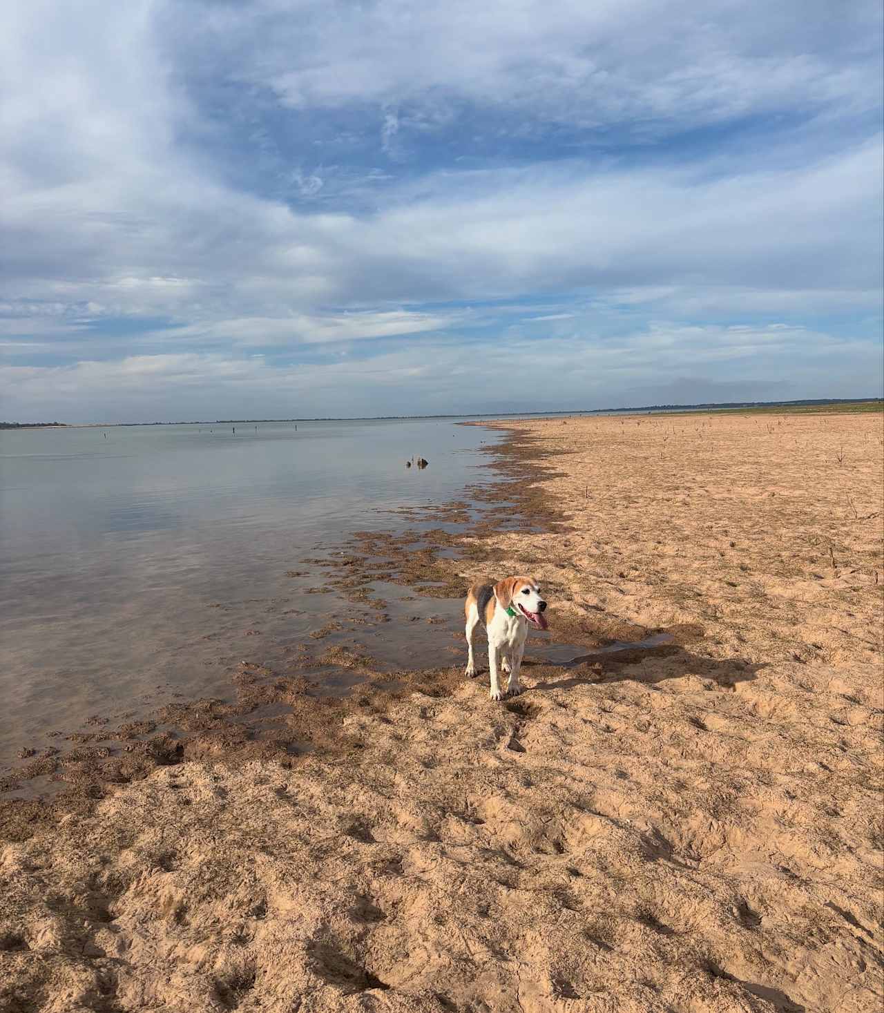 Badgery Point